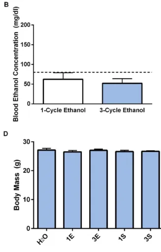 Figure  2.4:    In  the  orexin-B  IHC  experiment,  mice  with  access  to  ethanol  bottles  drank  comparable levels of ethanol on the final day of testing regardless of whether they experienced  one or three cycles of DID (A) and achieved similar BECs 