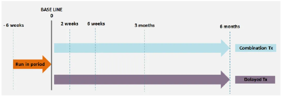 Figure 3. Study timeline                   