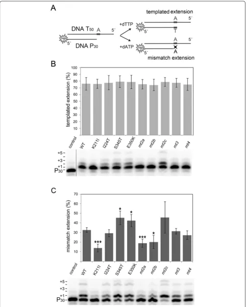 Figure 4 (See legend on next page.)