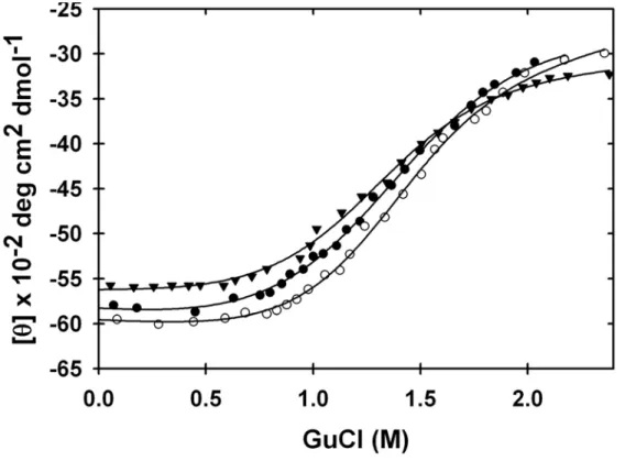Figure 2.10. GdmCl denaturation of the I29A:I37H variant at 37 oC in 300 g/L  PVP for three trials measured by circular dichroism at 242 nm
