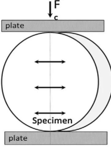 Figure 1.3: Placement of Sample For Dimetral Tensile Testing   2.6. Preheating of Composite Resins        