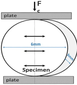 Figure 2.2: Schematic Illustration of Specimen Placement for Dimetral Tensile Testing  