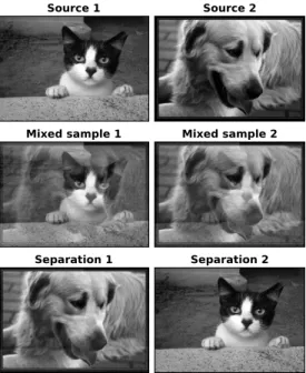 Figure 1.2: An image example of signal decomposition. We use FastICA (Hyv¨arinen and Oja, 2000) implemented by scikit-learn (Pedregosa et al., 2011) to separate the mixed signals