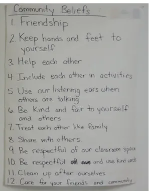 Figure 3.1 Community Beliefs 
