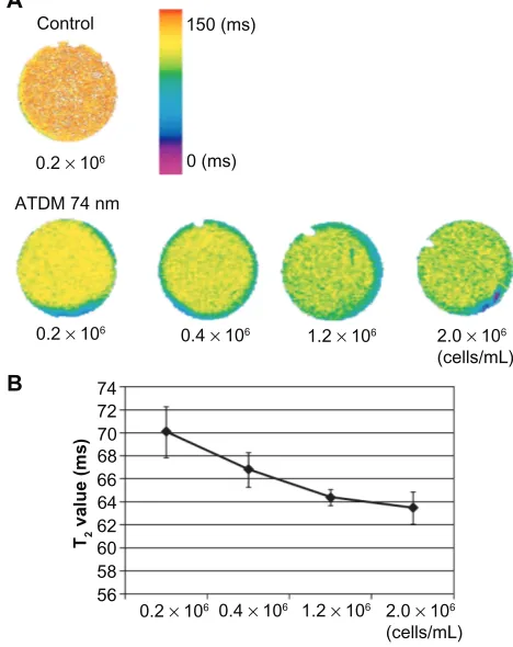 Figure 5 T2 relaxation times of different labeled cell density using ATDM-74 nm. (A) T2 map of control and ATDM 74 nm labeled cell pellets at 30 min; cell culture at different cell density