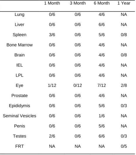 Table 1.1. Analysis of ZIKV-RNA in tissues from immune competent BALB/c mice up to one year  post exposure