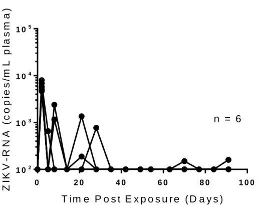 Figure 1.2. ZIKV-RNA in periphery of CD4 and CD8 T cell depleted BALB/c mice. Analysis of ZIKV- ZIKV-RNA in plasma from infected BALB/c mice (n=6 mice)