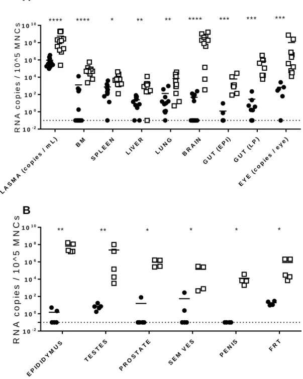 Figure 2.3. Analysis of systemic infection in immune deficient mice exposed to ZIKV.  NSG mice  were intravenously exposed to ZIKV H/PF/2013 (0.25 – 1 x 10 6  FFU) and tissues collected during acute  or chronic infection (2 and 27-73 days post infection, r