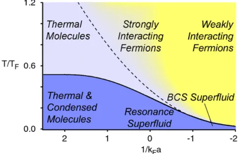 Figure 1.1: A representation for some of the possible systems of which we have access with the high degree of control of temperature (T /T F ) and interaction strength (1/k F a) in 3D (13)