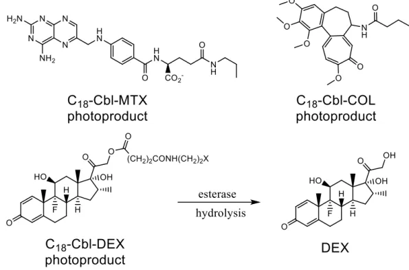 Figure 2.11. Released photoproducts of C 18 ‐Cbl‐MTX, C 18 ‐Cbl‐COL, and C 18 ‐Cbl‐DEX