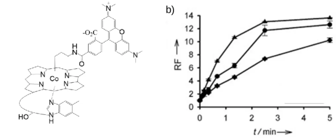 Figure 1.8. 47  Light activated release of a fluorescent reporter. (a) Structure of Cbl-TAMRA