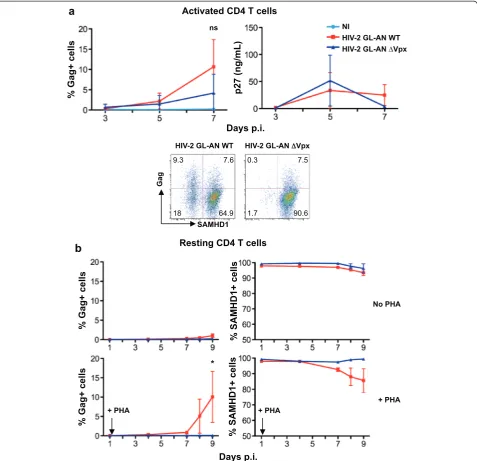 Figure 2 Vpx is necessary for HIV-2 infection in unstimulated CD4+ T cells. (a) Replication of HIV-2 GL-AN, expressing or not Vpx, inactivated CD4+ T cells