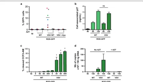 Figure 5 HIV-2 ROD-GFP and MDDCs. (a) Susceptibility of MDDCs to HIV-2 ROD-GFP infection