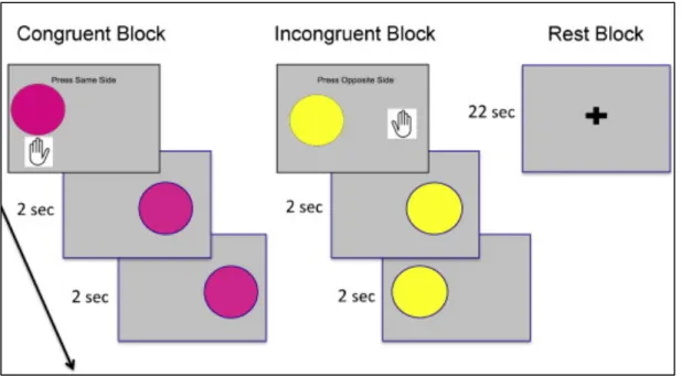 Figure 4. Cognitive control task. 