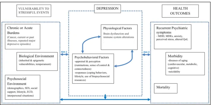 Figure 2.1: Kinser et al.’s conceptual framework of individual stress vulnerability, depression, and health  outcomes