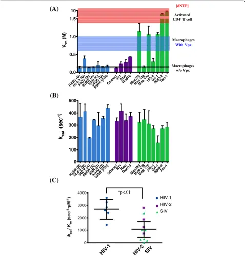 Figure 2 Comparison of the steady-state kinetic parameters for 18 lentiviral RT proteins