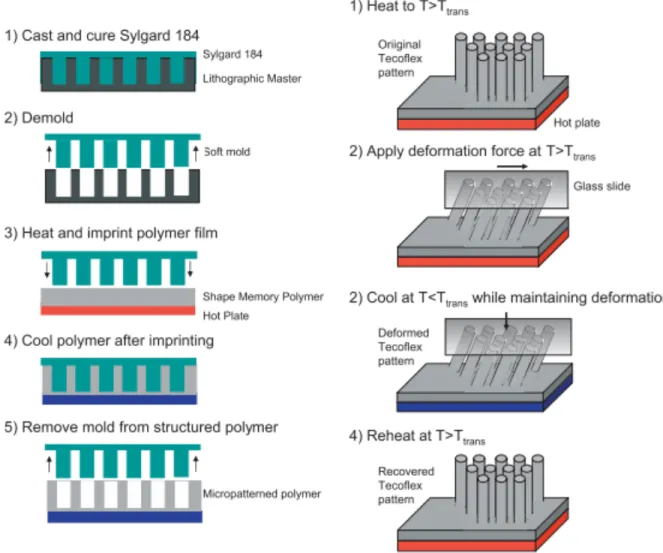 Figure  5.  (Left)  Micropillars  are  embossed  using  imprint  lithography.  (Right)  Shape  memory  programming of micropillars