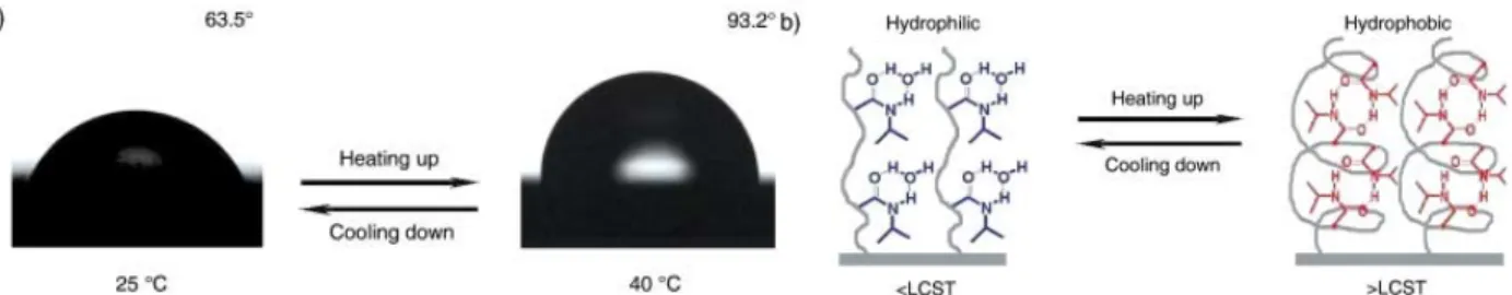 Figure  10.  Thermoresponsive  wettability  for  a  flat  PNIPAAm-modified  surface.  (a)  Change  of  water drop profile when temperature was elevated from 25 °C (left) to 40 °C (right) with water  contact angles of 63.5 ± 2.6° and 93.2 ± 2°, respectively