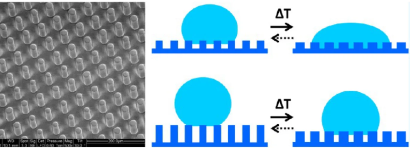 Figure 13: Schematic of a microstructured LC elastomer with switchable wettability around the  nematic-isotropic transition