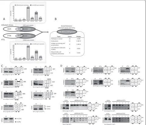 Figure 1 Distribution of AEU in ATLL cells and cloned CD4+ T-cells derived from HTLV-1-infected individuals