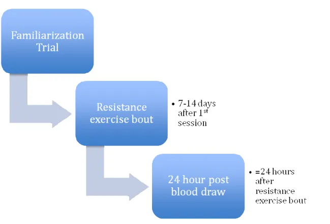 Figure 1- Timeline of lab visits. 