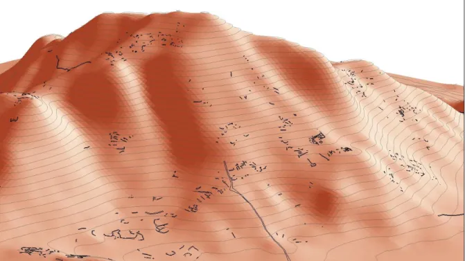 Figure 3-1.  A 3d Model of the Cerro León landform with MV225 site architecture. 