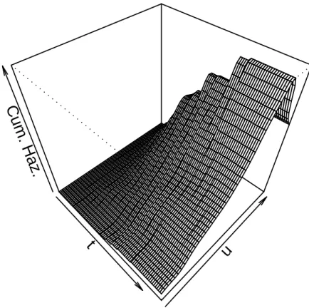 Figure 3.3: Cumulative baseline hazard estimator ˆ Λ(t, u) under PPSIH model (2).