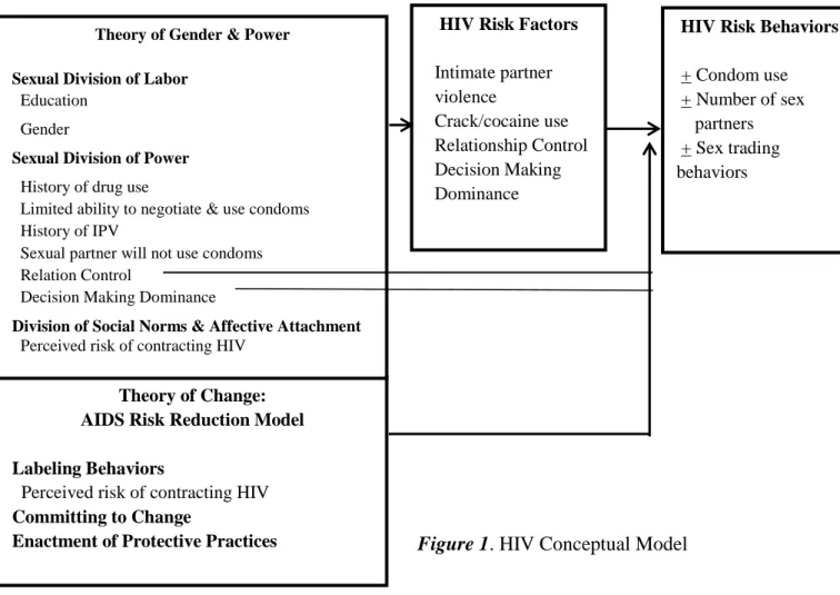 Figure 1. HIV Conceptual Model 