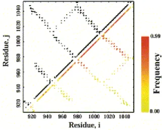 FIGURE 2.5:  Frequency map for the intermediate ensemble. Contact map for the FAT domain  with the lower right triangle showing the frequency of the contacts in the intermediate ensemble  at T=0.72