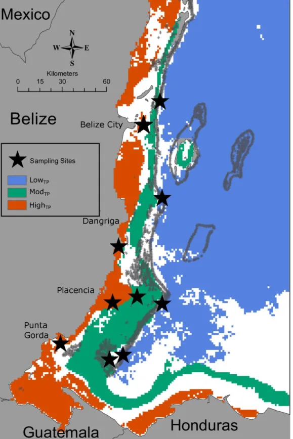 Fig 1: Thermal regime designations for sampling sites on the Belize MBRS (Baumann et al