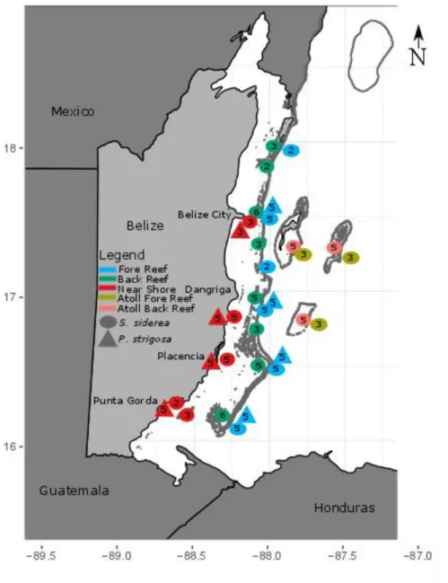 Fig 1: Map of reef sites on the Belize Mesoamerican Barrier Reef where Sidereastrea siderea and 