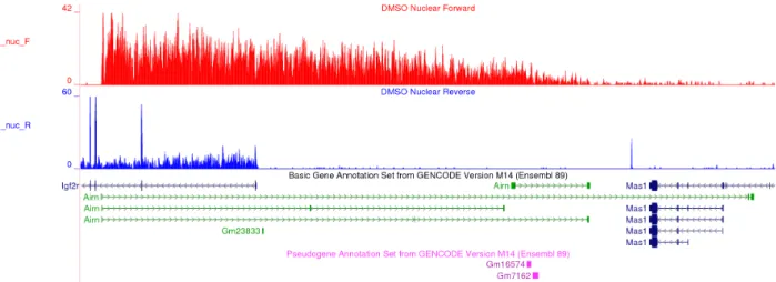 Figure 4.1 Airn provides an example of a misannotated unspliced transcript. Genome  browser track of the mouse Airn, approximately at 13Mb on chromosome 17