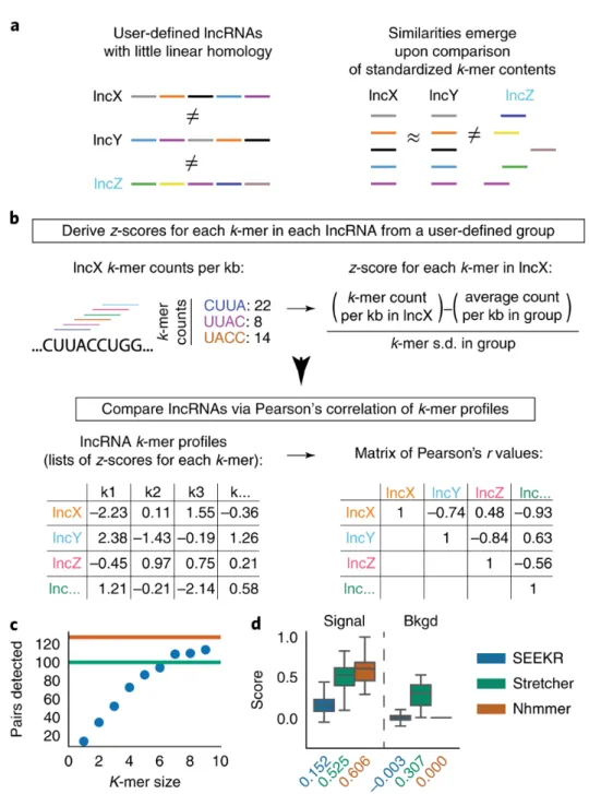 Figure 2.1. Overview and initial test of kmer-based sequence comparison. (A) LncRNAs of  related function (names in black) may harbor similar sequence similarity in the form of motif  content (colored bars) even if they lack linear homology