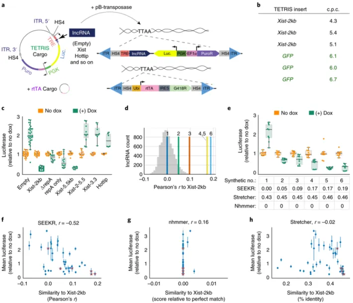 Figure 2.4. Kmer content correlates with lncRNA repressive activity. (A) Overview of  vectors and concept of the TETRIS assay