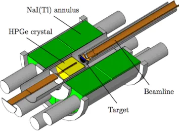 Figure 4.4: The LENA γγ-coincidence spectrometer. A 135% HPGe detector (yellow) is surrounded by a 16-segment Na(Tl) annulus (green)