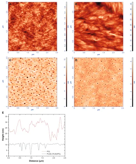 Figure 1 AFM topography images of: (A) PLGA single layer that was spin coated at 53 × g for 30 seconds