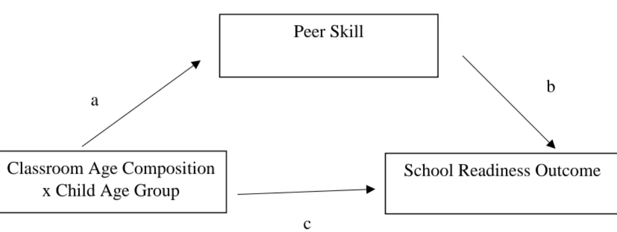 Figure 1. Mediated moderation model.  
