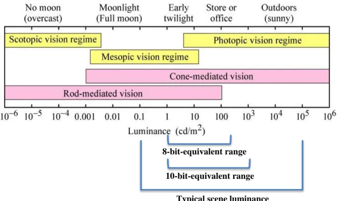 Figure 3: Dynamic range of human vision.  