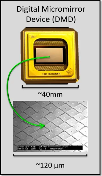 Figure 4: Digital Micromirror Device (DMD): Example of device and micrograph of mirror array