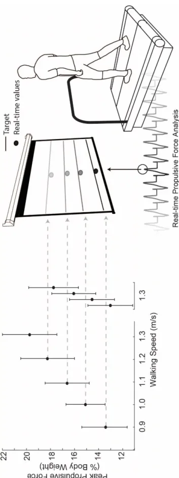 Figure 1: Experimental design using visual biofeedback to decouple the effects of walking speed and propulsive force on joint- and limb-level biomechanical variables