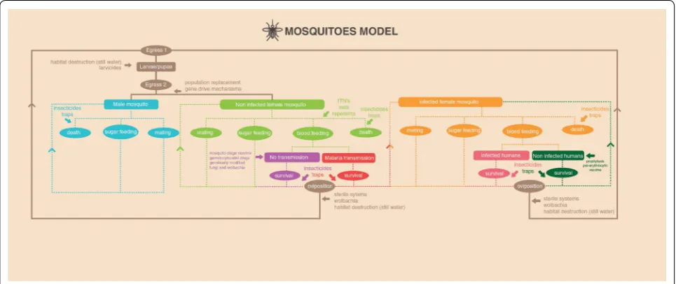 Fig. 3 Schematic model of malaria infection and possible outcomes from the mosquito perspective