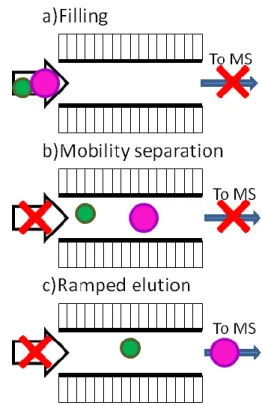 Figure 1.3 Representation of a TIMS separation, where  ΔV is large enough to trap all ions to fill the cell (a),   then a voltage is applied to the front-end of the  instrument to direct ions formed by the source away  from the TIMS cell (b), and finally Δ