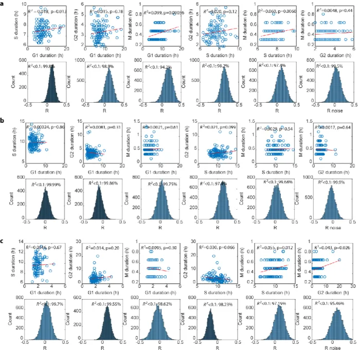 Figure S2.4. Pairwise correlations between cell cycle phases in three human cell  lines