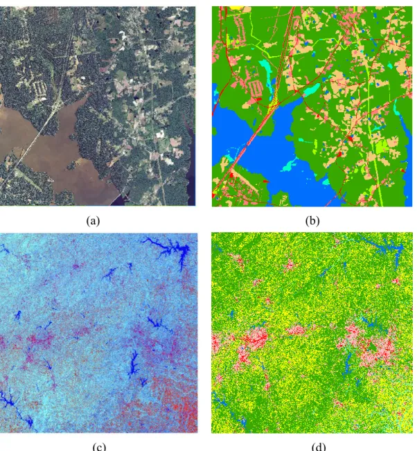 Figure 1 1   . The materials of the study. (a) The NAIP image with 1-meter resolution for study  area