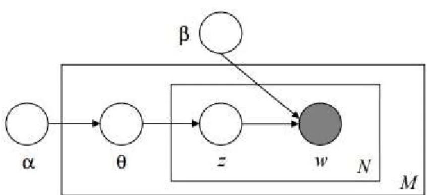 Figure 5.1 is a simplified graphical representation of LDA. The basic intuition here is that  the hidden Dirichlet prior parameters (β and α) create a topical structure that regulates the  distribution of documents (θ) and words (z and w)