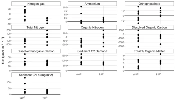 Figure 3. Nutrient fluxes, sediment %OM, and sediment chl α divided by basin. Clustering of  variables by basin, and larger differences between variables when separated by basin, compared  to vegetative state, indicates that basin had a larger influence on