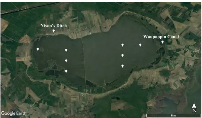 Figure 8. Ten sampling locations, five in each basin, sampled seasonally in 2016 are shown in  white