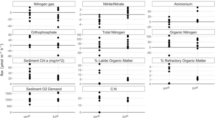 Figure 10. Nutrient fluxes, sediment %LOM and %ROM, and chl α divided by basin. Units on  all values are in μmol m -2  hr -1  except %LOM, %ROM, the ratio of C:N (moles), and sed chl α  (mg/m 2 ), as indicated in the plot title
