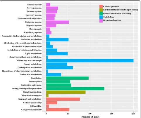 Fig. 8 KEGG analysis of differentially expressed genes. The X-axis indicates the number of genes in the pathway