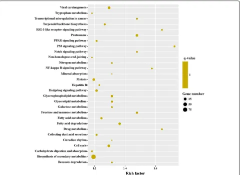 Fig. 9 The top 30 of KEGG enrichment of significant upregulated genes